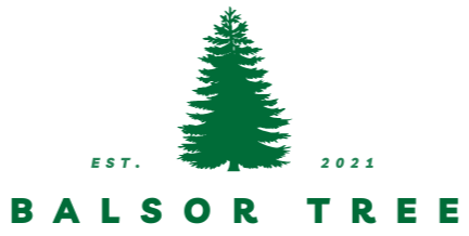Balsor Tree